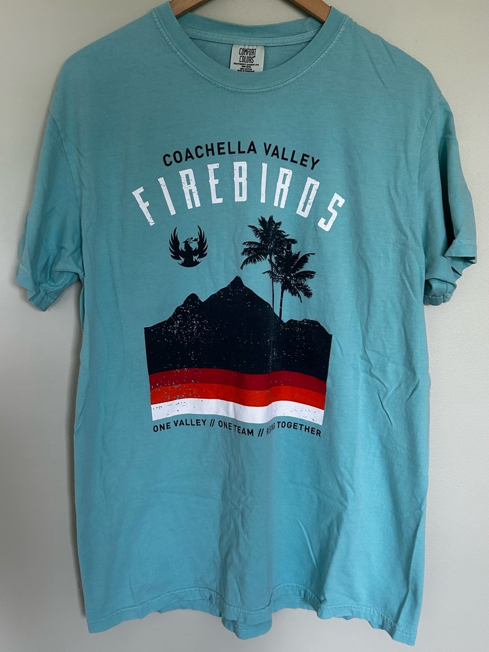 Coachella Valley Firebirds Men’s Teal T-Shirt Size L